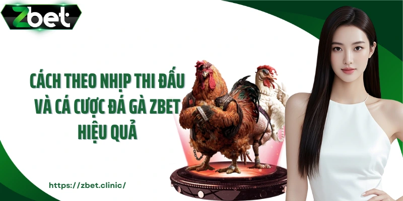 Cách theo nhịp thi đấu và cá cược đá gà ZBET hiệu quả