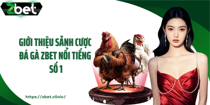 Giới thiệu sảnh cược đá gà ZBET nổi tiếng số 1