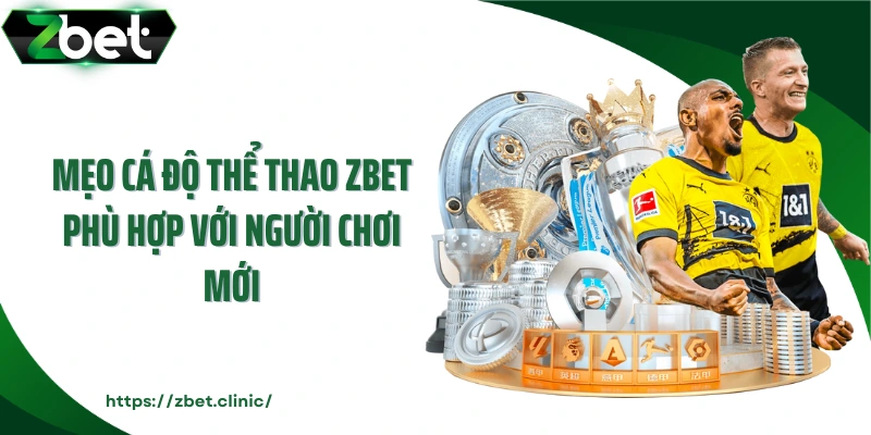 Mẹo cá độ thể thao ZBET phù hợp với người chơi mới