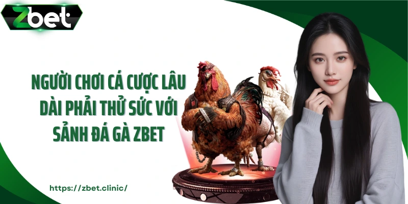 Người chơi cá cược lâu dài phải thử sức với sảnh đá gà ZBET