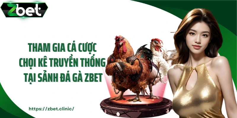 Tham gia cá cược chọi kê truyền thống tại sảnh đá gà ZBET