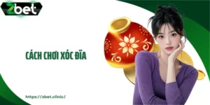 Cách Chơi Xóc Đĩa Từ A-Z: Đơn Giản, Dễ Nắm, Ai Cũng Làm Được