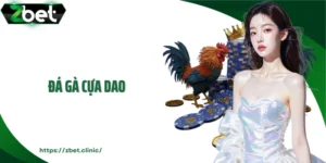 Đá Gà Cựa Dao: Kỹ Thuật, Chiến Thuật và Bí Quyết Chiến Thắng