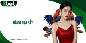 Đá Gà Cựa Sắt: Màn Đối Đầu Nảy Lửa Quyết Định Trong Tích Tắc
