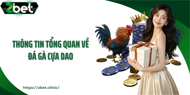 Thông tin tổng quan về đá gà cựa dao