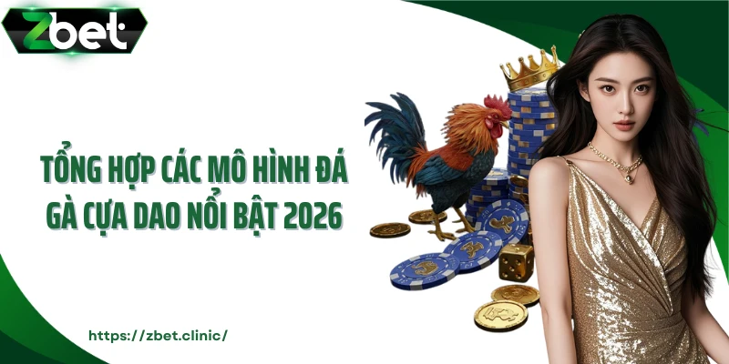 Tổng hợp các mô hình đá gà cựa dao nổi bật 2026