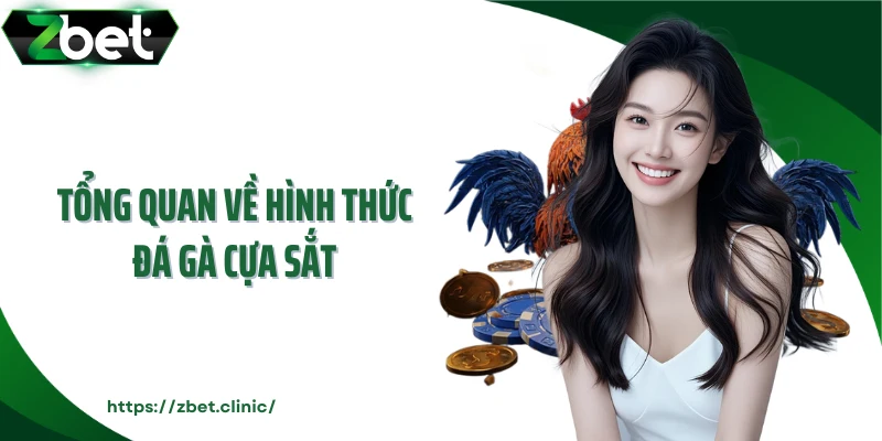 Tổng quan về hình thức đá gà cựa sắt