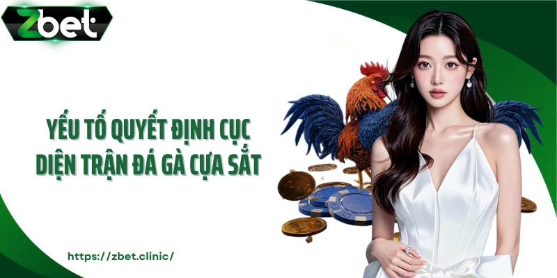 Yếu tố quyết định cục diện trận đá gà cựa sắt